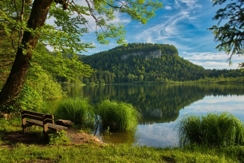 Forêt enchantée du Jura