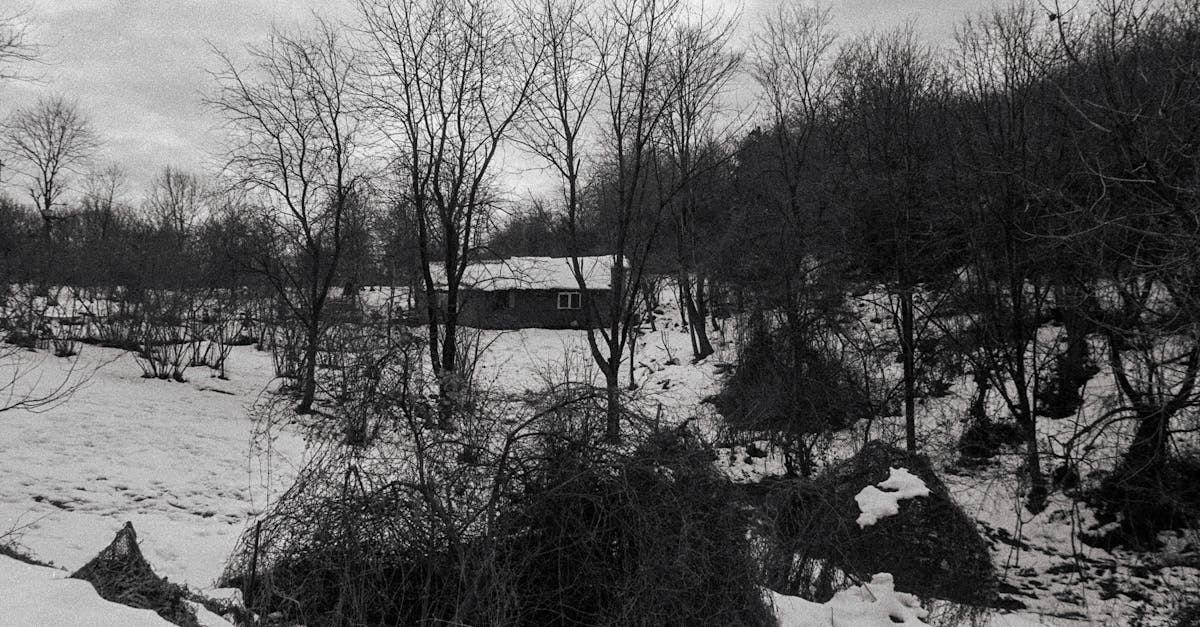découvrez des séjours inoubliables dans des cabanes uniques, où nature et confort se rencontrent. profitez d'une escapade relaxante au cœur des forêts, des montagnes ou près des lacs, idéal pour se ressourcer et se reconnecter avec l'environnement.