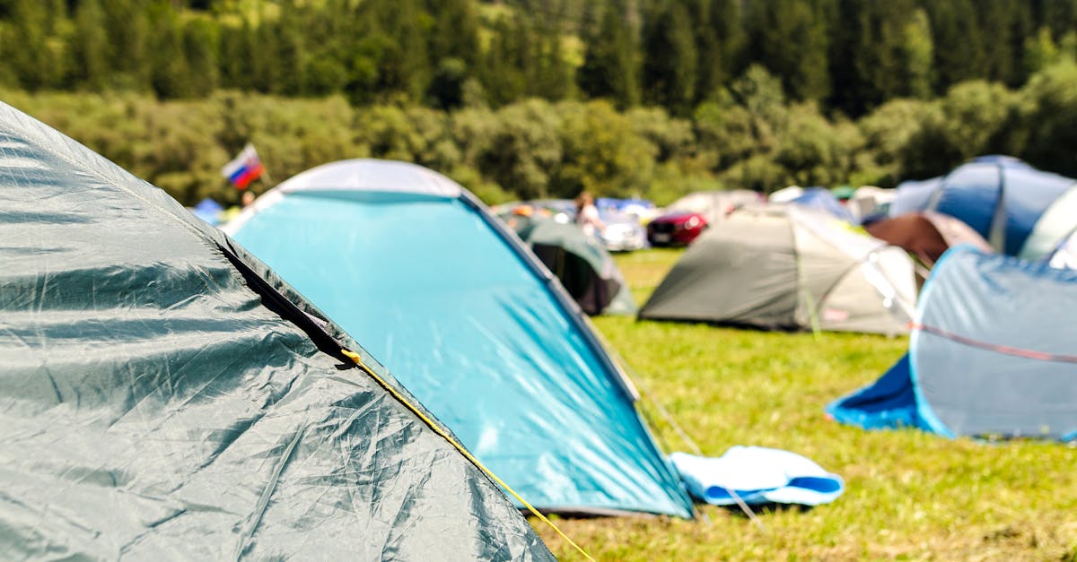 découvrez l'univers du camping : échappez-vous au cœur de la nature pour des vacances inoubliables, entre détente, aventure et partage en pleine air. profitez d'astuces, d'itinéraires et de conseils pour un séjour réussi.