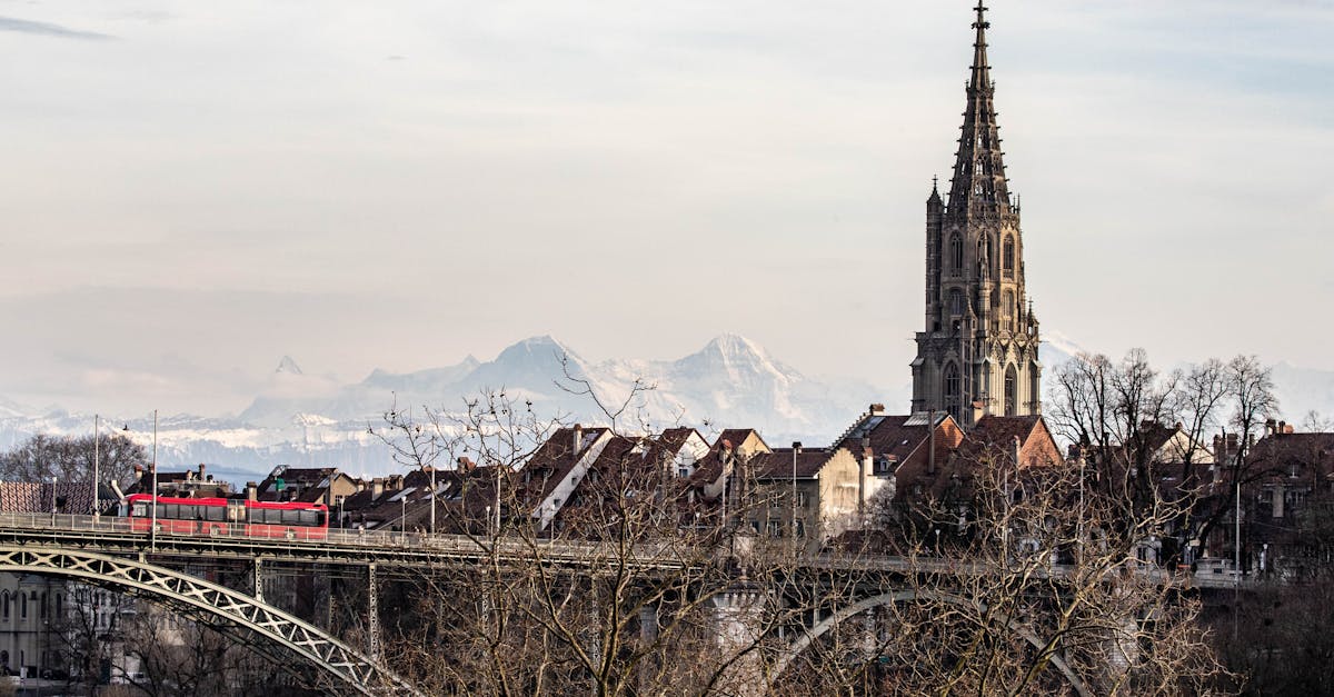 découvrez le majestueux swiss panoramic train, une expérience inoubliable à travers les paysages époustouflants de la suisse. admirez des panoramas à couper le souffle tout en voyageant à bord de trains confortables et modernes. une aventure unique alliant nature, patrimoine et tranquillité sur des routes panoramiques.