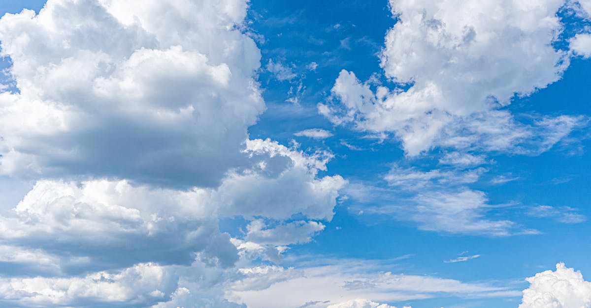 découvrez les prévisions météorologiques détaillées pour votre région. restez informé des conditions climatiques, des températures et des alertes météo pour planifier vos activités en toute sérénité.